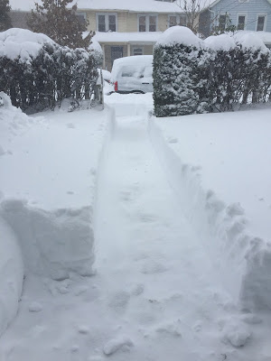 shoveled walk with 2 feet of snow