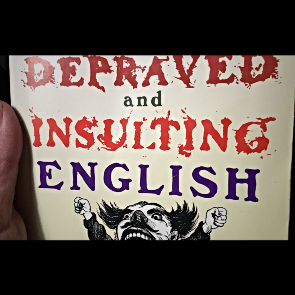 The cover of Depraved and Insulting English.