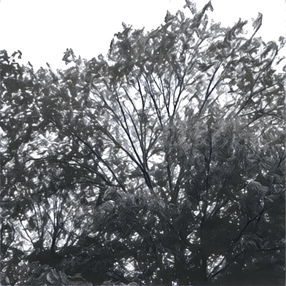 Did you know that this was a picture of trees with the sun breaking through before it was stylized into a b+w picture of trees with a source of light?