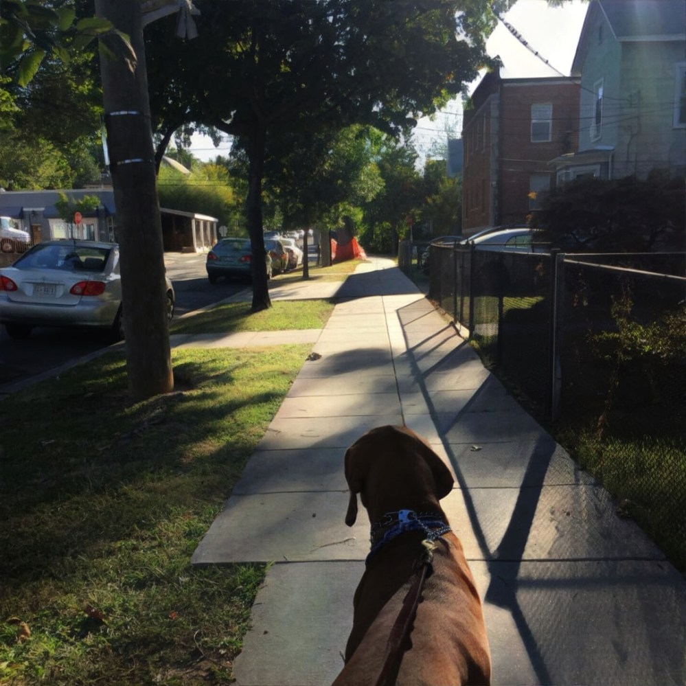 This was a stunning September morning. The Beast led the way.